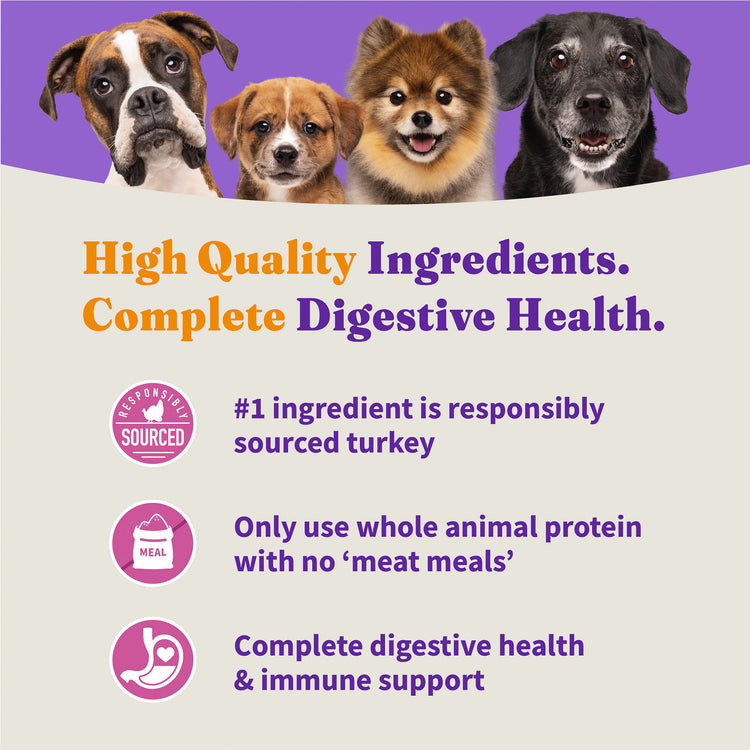 Holistic Cage-Free Turkey & Sweet Potato Dog Food - Healthy Weight Support