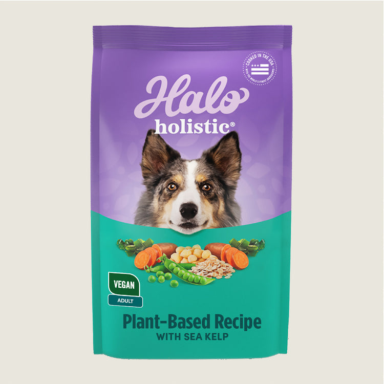Holistic Vegan Plant-Based with Kelp Recipe Adult Dry Dog Food