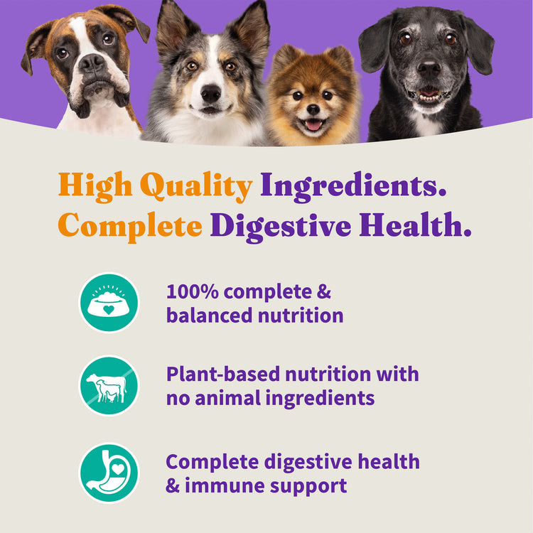 Holistic Vegan Plant-Based with Kelp Recipe Adult Dry Dog Food