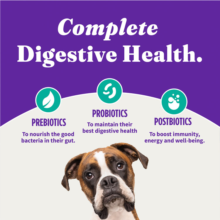 Holistic Vegan Plant-Based with Kelp Recipe Adult Dry Dog Food