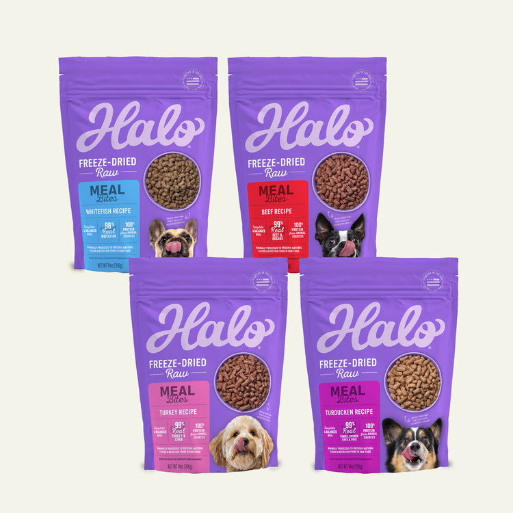 Halo Freeze-Dried Raw Meal Bites Protein 4 Pack