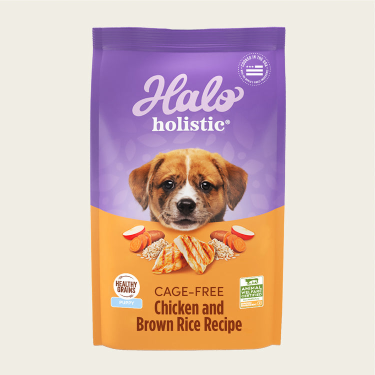 Holistic Cage-Free Chicken & Brown Rice Recipe Dry Puppy Food