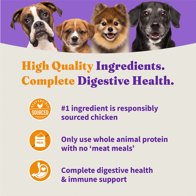 Holistic Cage-Free Chicken & Brown Rice Recipe Dry Puppy Food