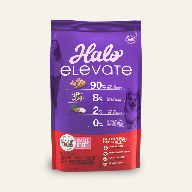 Elevate Healthy Grains Red Meat Recipe Small Breed Dry Dog Food