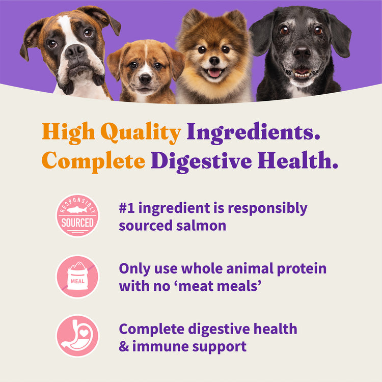 Holistic Healthy Weight Support Wild-Caught Salmon & Whitefish Recipe Small Breed Dry Dog Food