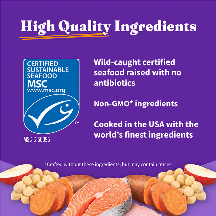 Holistic Healthy Weight Support Wild-Caught Salmon & Whitefish Recipe Small Breed Dry Dog Food