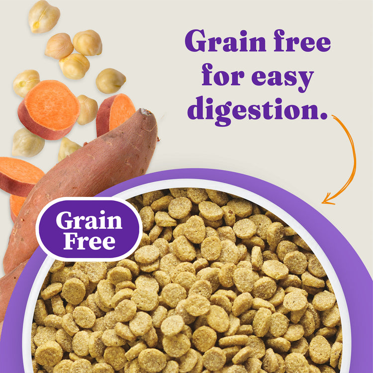 Holistic Grain Free Cage-Free Chicken & Sweet Potato Recipe Senior Dry Dog Food